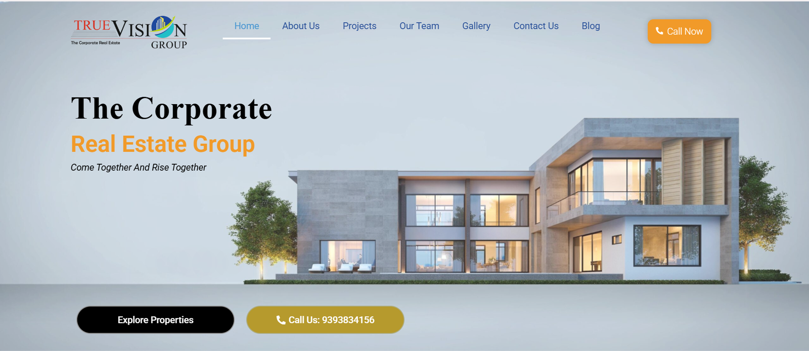 TrueVision Group Real Estate